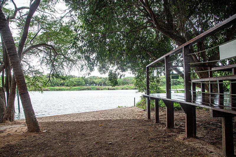 Beach area